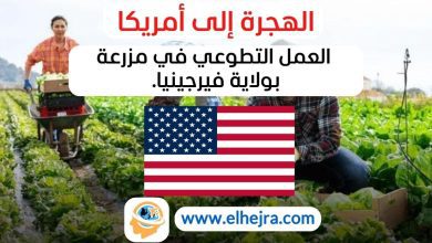 الكلمات المفتاحية الأساسية: التطوع في المزرعة مجتمع زراعي تعاوني في فيرجينيا العمل التطوعي في المزارع الإقامة مقابل العمل في المزرعة تجربة الزراعة العضوية العيش في مجتمع تعاوني المهام الزراعية للمزارعين المتطوعين المجتمعات التعاونية في الولايات المتحدة التطوع في الزراعة المستدامة مزارع العضوية في فيرجينيا الكلمات المفتاحية المساعدة (LSI): الزراعة العضوية في فيرجينيا التجارب التطوعية في المجتمعات الزراعية كيفية العمل في مزرعة تعاونية الإقامة مع العائلات في المزارع المهام اليومية في المزارع العضوية المهارات المطلوبة للعمل في المزارع العيش والعمل في مجتمع ريفي كيفية الانضمام إلى مزرعة تعاونية التطوع في البيئة الريفية المهارات اليدوية في المزارع الكلمات المفتاحية الطويلة (Long-tail Keywords): كيفية التطوع في مزرعة عضوية في فيرجينيا ما هي المهام المطلوبة للعمل في مزرعة تعاونية تجربة العيش في مجتمع زراعي تعاوني في الولايات المتحدة كيفية الانضمام إلى مجتمع تعاوني زراعي في فيرجينيا الإقامة مقابل العمل في المزارع العضوية الكلمات المفتاحية المبنية على الأسئلة: كيف يمكنني التطوع في مزرعة عضوية؟ ما هي المهارات المطلوبة للعمل في مزرعة تعاونية؟ ما هي تجربة العيش في مجتمع زراعي تعاوني؟ كيف أنضم إلى مجتمع تعاوني زراعي؟ ما هي المهام اليومية في المزارع العضوية؟