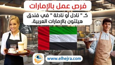 وظيفة نادل/نادلة في هيلتون أبوظبي فرص عمل في فنادق أبوظبي Hilton Abu Dhabi waiter job العمل في فندق هيلتون وظائف الضيافة في أبوظبي كلمات LSI (الفهرسة الدلالية الكامنة): وظائف في قطاع الضيافة فرص عمل في الإمارات وظائف فنادق في أبوظبي تقديم الطعام والمشروبات في الفنادق العمل كنادل في أبوظبي وظائف في سلاسل الفنادق العالمية العمل في مجال الضيافة وظائف في قطاع السياحة والضيافة التقديم على وظائف هيلتون بيئة العمل في هيلتون الكلمات المفتاحية الطويلة (Long-Tail Keywords): كيفية التقديم على وظيفة نادل في هيلتون أبوظبي متطلبات وظيفة نادل/نادلة في فندق هيلتون بأبوظبي فرص التطور الوظيفي في هيلتون أبوظبي مزايا العمل في وظيفة نادل/نادلة في فندق هيلتون وظائف بدوام كامل في فنادق أبوظبي الكلمات المفتاحية المبنية على أسئلة: ما هي متطلبات وظيفة نادل في فندق هيلتون أبوظبي؟ كيف يمكنني التقديم على وظيفة نادل/نادلة في هيلتون؟ ما هي المزايا التي يقدمها فندق هيلتون لموظفيه في أبوظبي؟ هل يتطلب العمل في هيلتون أبوظبي خبرة سابقة؟ ما هي طبيعة العمل كنادل في فندق هيلتون بأبوظبي؟ اقتراحات لعناوين المقال: "فرصة عمل في هيلتون أبوظبي: كيفية التقديم على وظيفة نادل/نادلة" "وظائف الضيافة في أبوظبي: احصل على وظيفة نادل/نادلة في فندق هيلتون" "كل ما تحتاج معرفته عن وظيفة نادل في هيلتون أبوظبي"