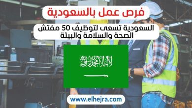 وظائف الصحة والسلامة والبيئة تدريب مفتش HSE معايير السلامة المهنية بيئة العمل الآمنة فرص العمل الدولي في HSE تطوير مهارات مفتش HSE قوانين الصحة والسلامة إدارة فرق HSE الوقاية من المخاطر المهنية الامتثال للمعايير البيئية