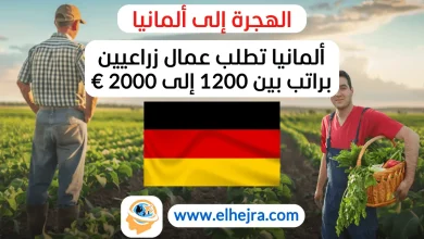 فرصة عمل موسمية وظائف زراعية في ألمانيا وظائف موسمية 2024 مساعد زراعي موسمي خدمات زراعية وظائف في المختبرات الزراعية عمل في مجال التحاليل الزراعية وظائف للطلاب في الزراعة التوظيف في Eurofins الوظائف الموسمية في Jena فرص عمل للمبتدئين في الزراعة وظائف للمبتدئين في ألمانيا التوظيف في القطاع الزراعي إجراءات التحليل الزراعي توظيف في شركة Eurofins وظائف بدوام جزئي في الزراعة الزراعة والبيئة في ألمانيا مساعد مختبر زراعي التحاليل الزراعية في ألمانيا وظائف موسمية في المختبرات